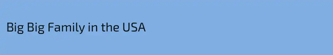 Big Big Family in the USA